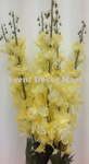 delphinium long yellow